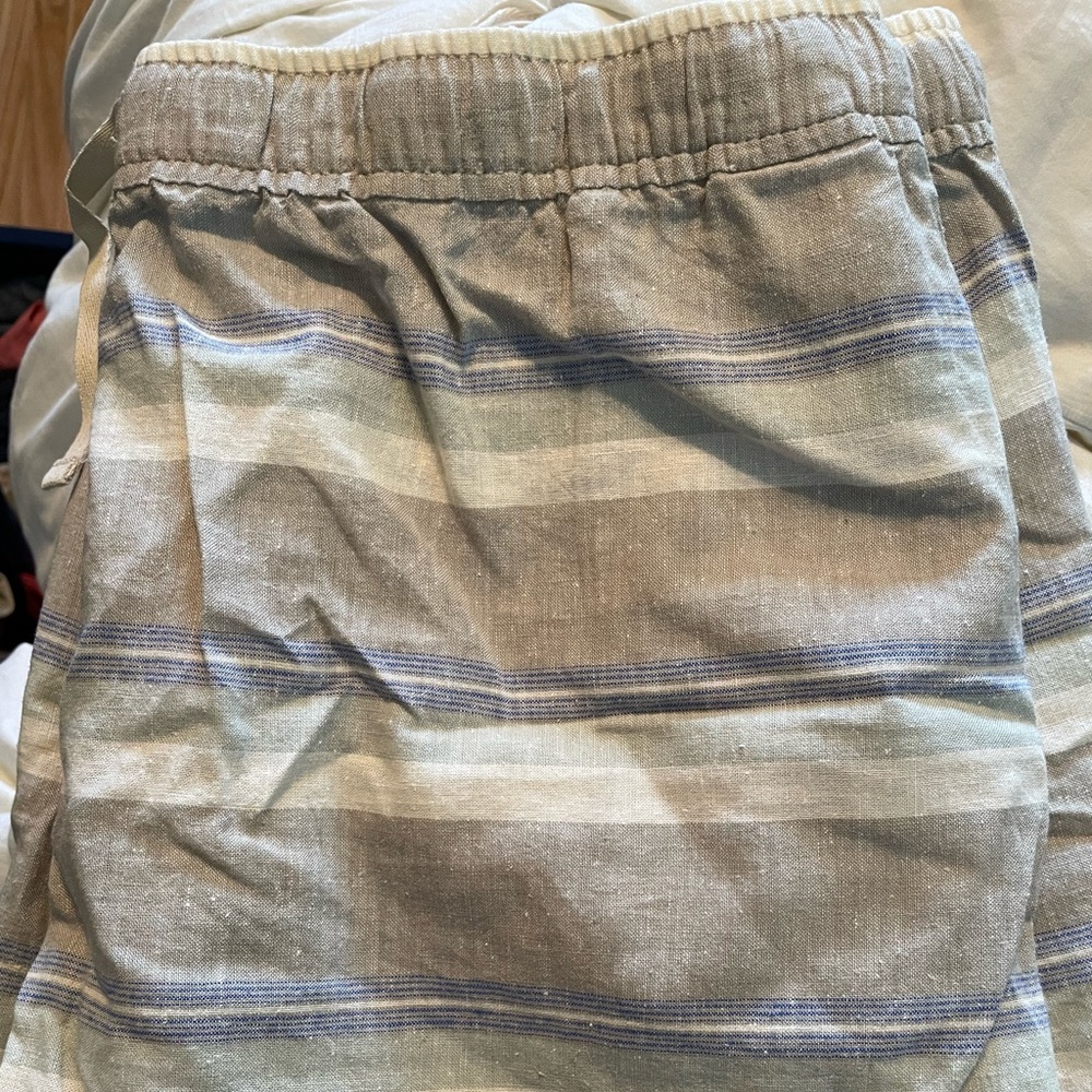 NWT Patagonia island hemp baggies short large